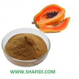 NATURAL FREEZE DRIED PAPAYA